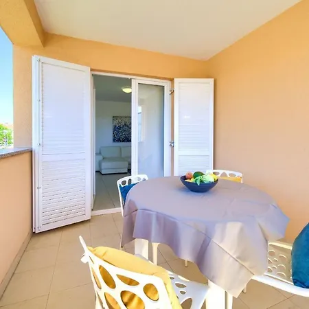 Aster Daire Malinska